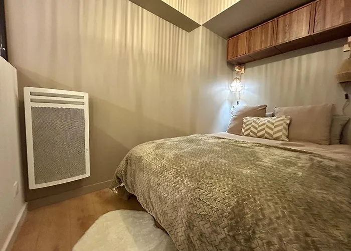 Lescale Verte Toulousaine Appartement